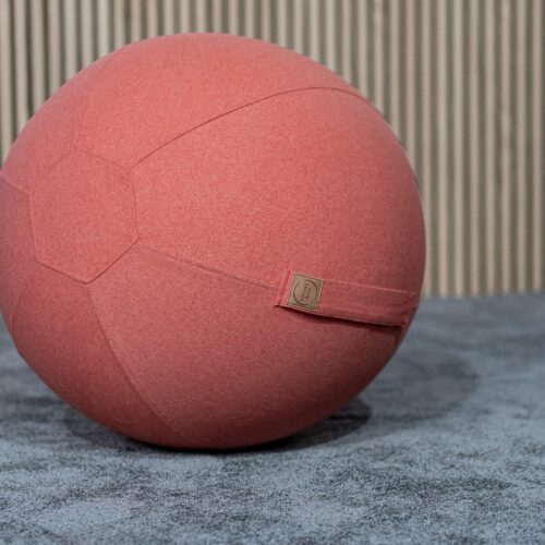 Sitzball, lachs