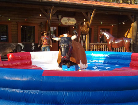 Bullriding (elektrisch)